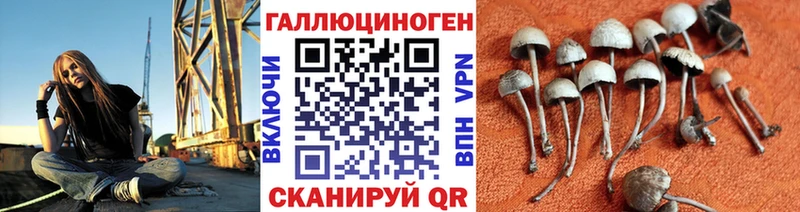где купить наркоту  мега ссылки  Галлюциногенные грибы Psilocybine cubensis  Трёхгорный 